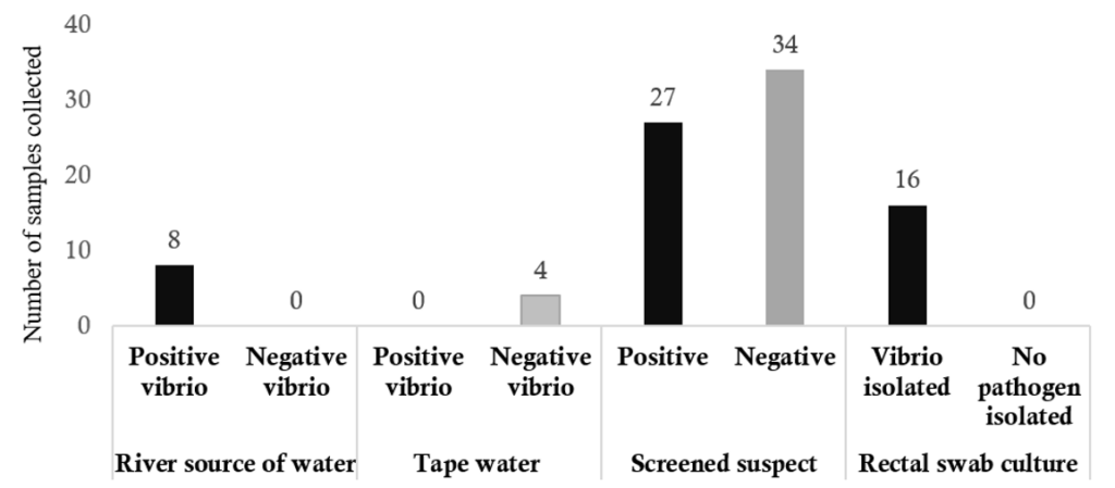 Figure 4. Number and kind of samples tested during the cholera outbreak at Gisambalang ward