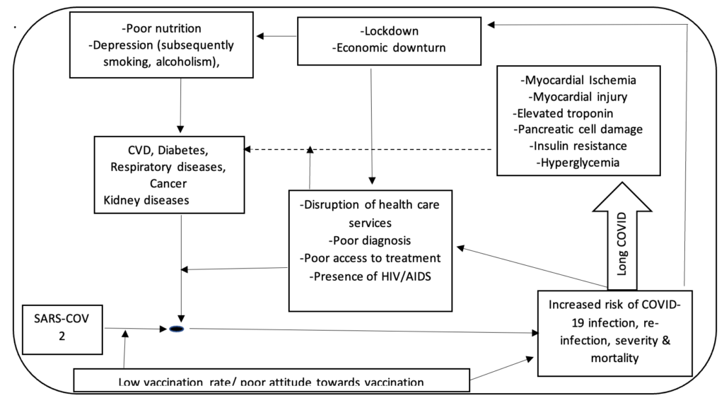 Figure 1: Hypothetical Schematic diagram describing a potential vicious cycle associated with mutual effects of NCDS and COVID-19 infection in SSA (in the event of a protracted pandemic) 