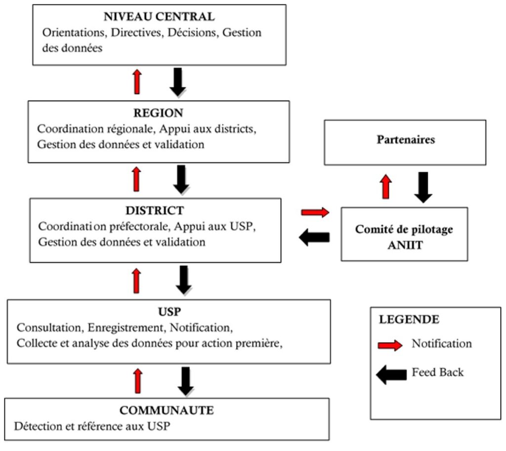 Figure 2 : Circuit des informations de la surveillance de l'HTA et du diabète dans le district sanitaire de Golfe en 2023