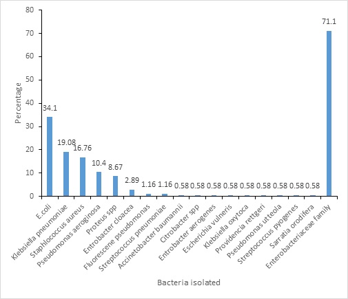 Figure 1: Frequency distribution of different bacterial isolates Bacteria Isolated by Sex
