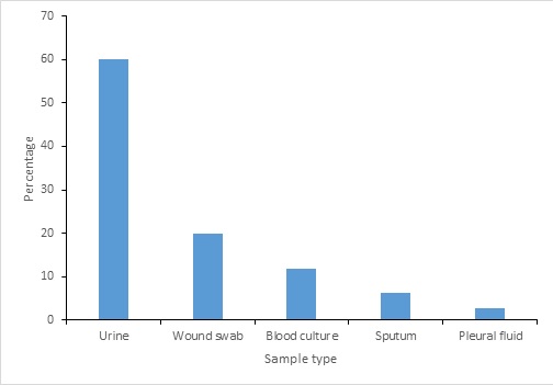 Figure 3: Distribution of ESBL Positive isolates by sample type