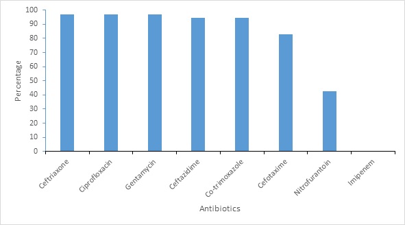 Figure 4: Antimicrobial resistance pattern of ESBL producing organisms