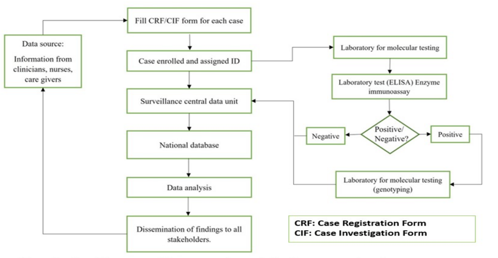 Figure 1: Rotavirus surveillance system dataflow at Kilifi County Hospital, Kenya 2017-2021