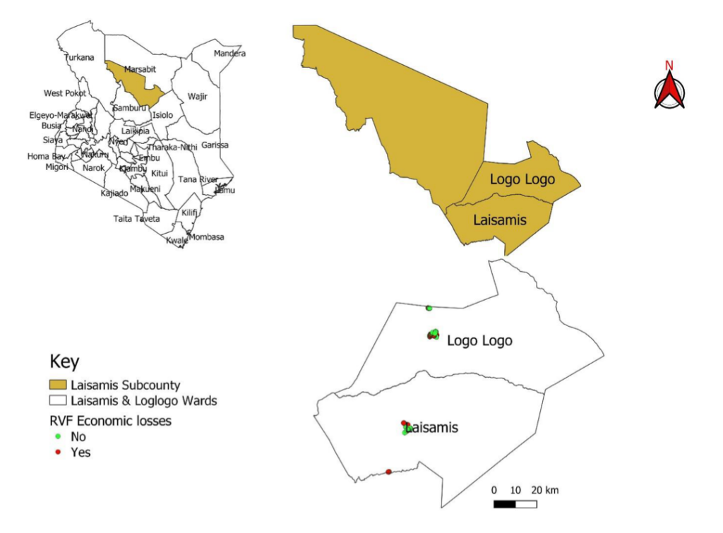 Figure 2: Distribution of Rift Valley fever outbreak economic losses among the herd in Laisamis sub-county 2028