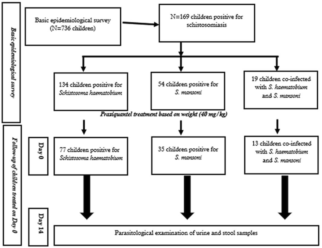 Figure 2: Flowchart of the Study design