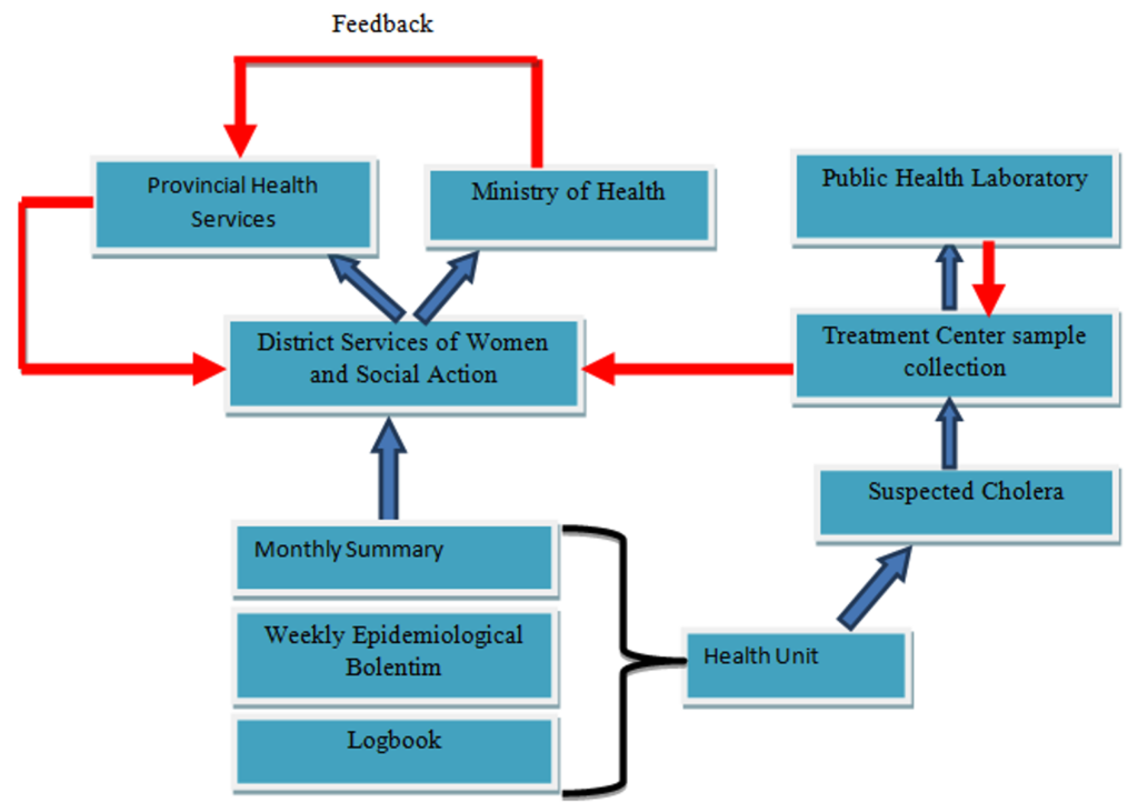 Figure 1. Flow chart describing the diarrheal disease surveillance system