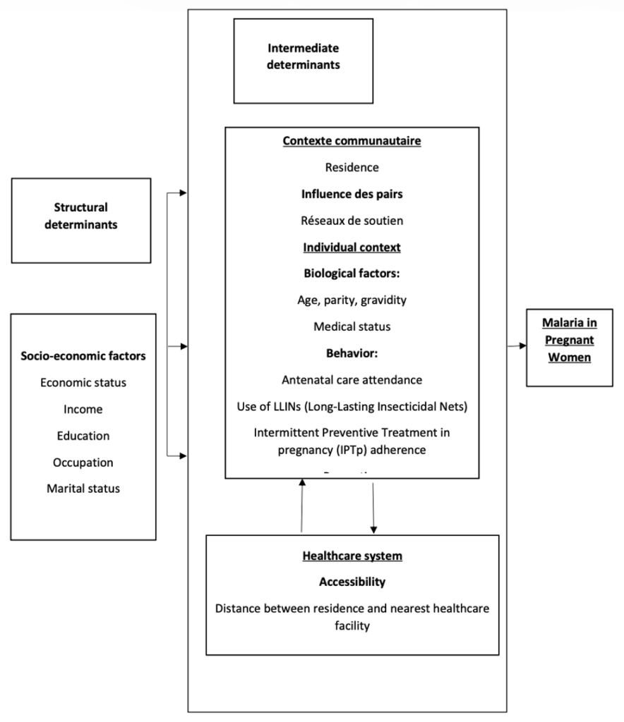 Figure 2: Conceptual framework