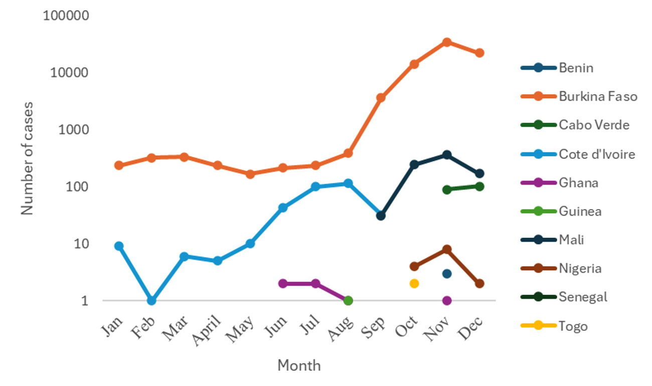 Figure 2: Number of dengue fever cases from Member States by month in 2023