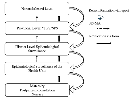 Figure 1: Data flow from Mozambique's adapted integrated disease surveillance and response system (*DPS/SPS: Provincial Health Directorate/Provincial Health Service)