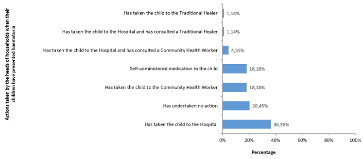 Figure 2: Actions carried out by the heads of households when their child got hematuria, Wahala Health area, Haho Health District, Togo, March 2020