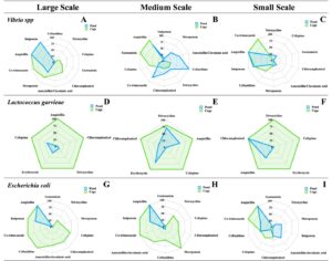 Figure 2: Antibiotic Resistance Profiles of Vibrio spp., (Large(A), Medium(B), and Small (C))Lactococcus garvieae, (Large (D), Medium (E), and Small (F)) and Escherichia coli (Large(G), Medium(H), and Small (I)) Across Culture Systems (Pond and Cage)