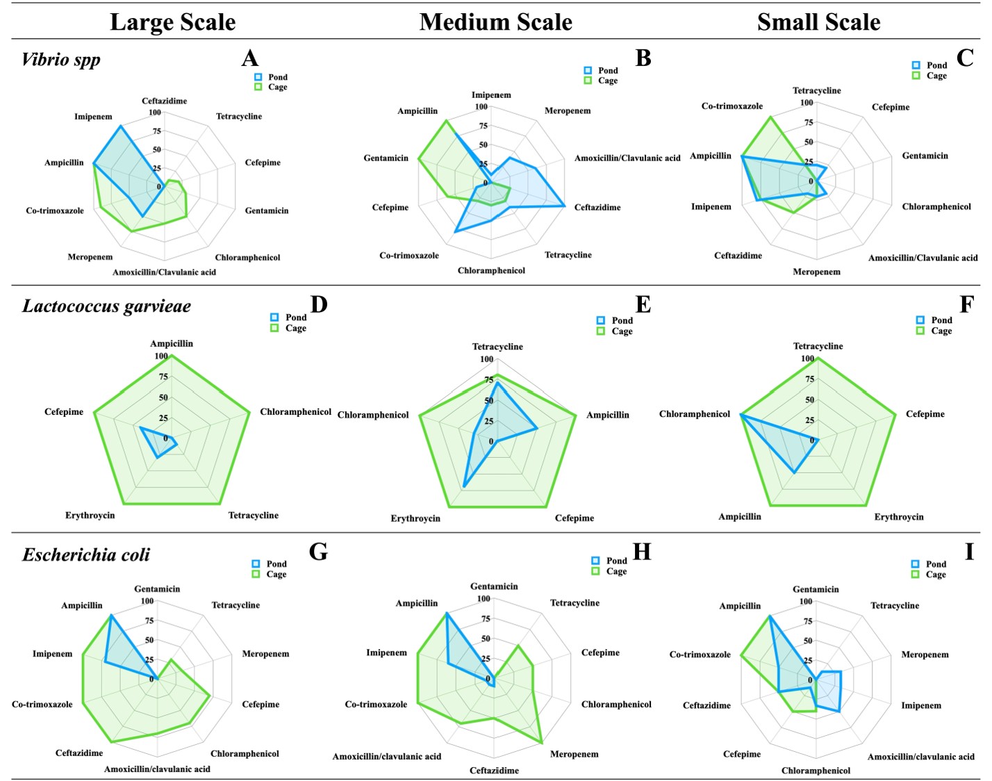 Figure 2: Antibiotic Resistance Profiles of Vibrio spp., (Large(A), Medium(B), and Small (C))Lactococcus garvieae, (Large (D), Medium (E), and Small (F)) and Escherichia coli (Large(G), Medium(H), and Small (I)) Across Culture Systems (Pond and Cage)