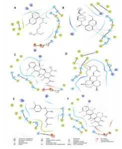 Figure 3: 2D-Molecular interactions of amino-acid residues at the active site of RNA-dependent RNA polymerase with top drug candidate (A) Chloroquine (B) 3-hydroxyquinine (C) Tetracycline (D) Artesunate (E) Chlorproguanil (F) Doxycycline