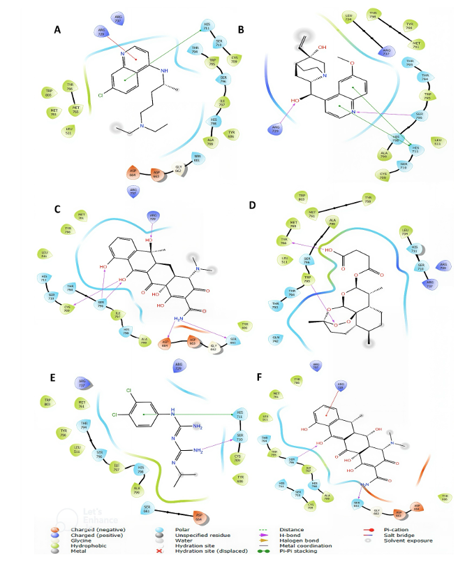 Figure 3: 2D-Molecular interactions of amino-acid residues at the active site of RNA-dependent RNA polymerase with top drug candidate (A) Chloroquine (B) 3-hydroxyquinine (C) Tetracycline (D) Artesunate (E) Chlorproguanil (F) Doxycycline
