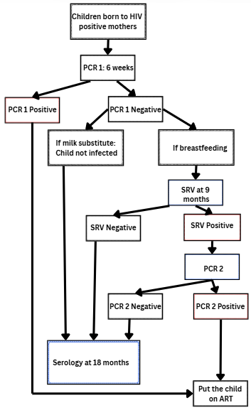 Figure 1: Early diagnostic algorithm for HIV infection in children aged 0 to 12 months in Togo (PCR: Polymerase Chain Reaction; SRV: Retroviral Serology; ART: Antiretroviral Therapy)