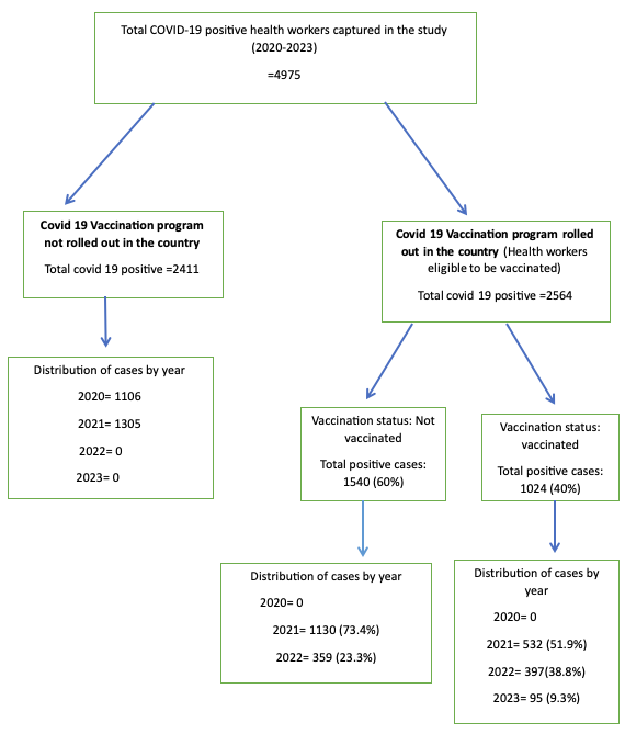 Figure 1: Data flow of COVID -19 vaccination status among health workers in Namibia.2020-2023