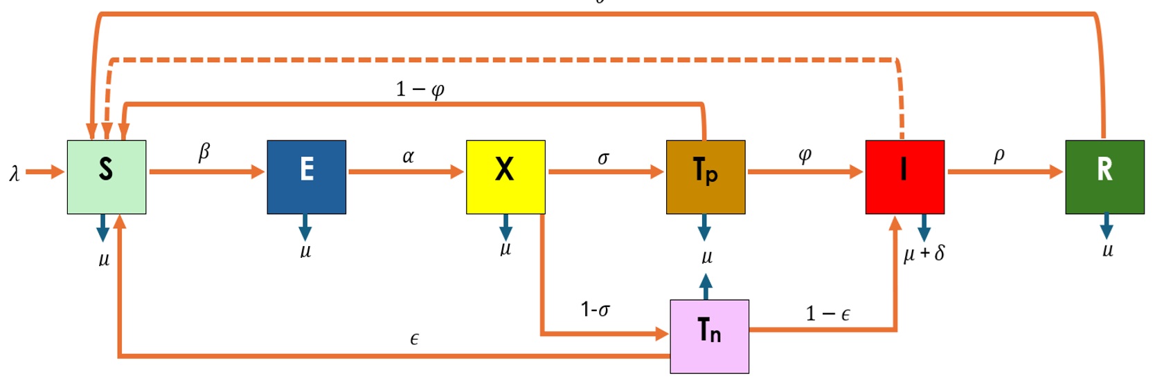 Figure 1: Schematic diagram of the Lassa fever model