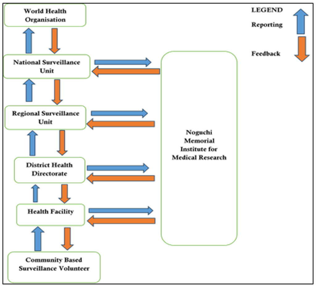 Figure 2: AHFS surveillance system flow chart, Sawla Tuna Kalba District, 2024