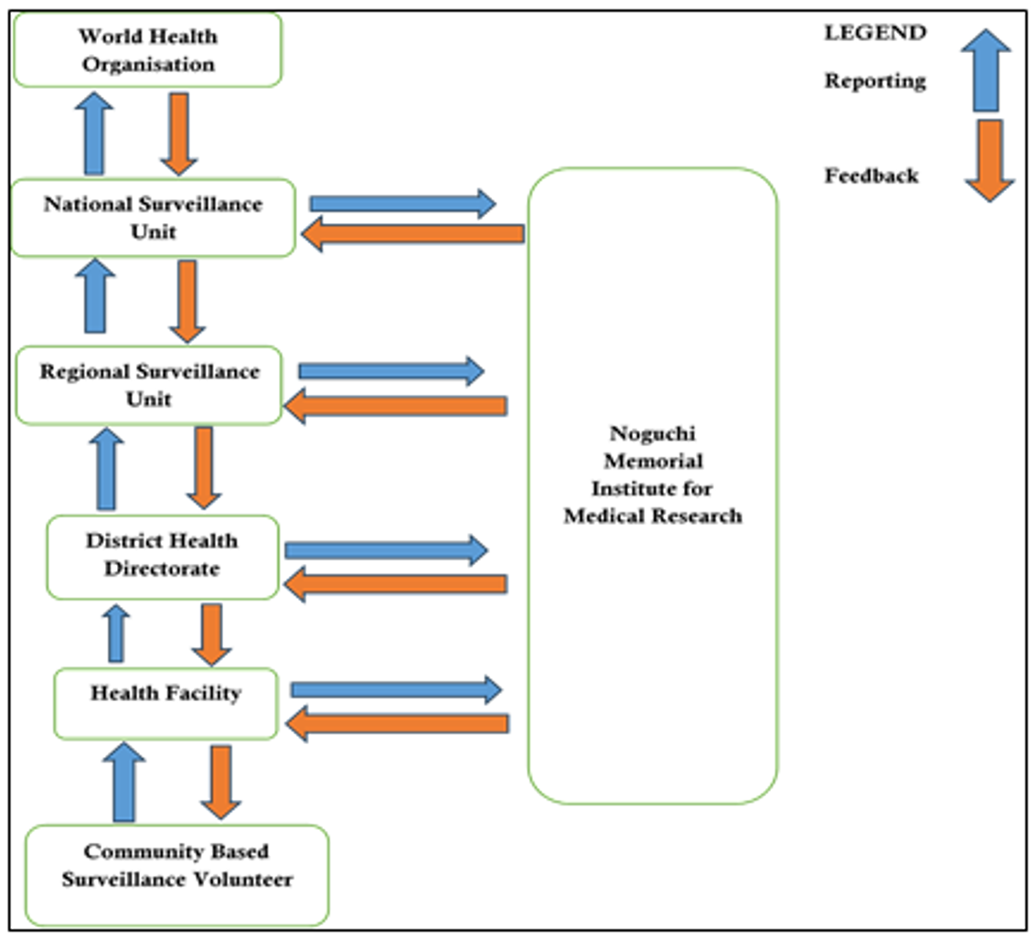 Figure 2: AHFS surveillance system flow chart, Sawla Tuna Kalba District, 2024