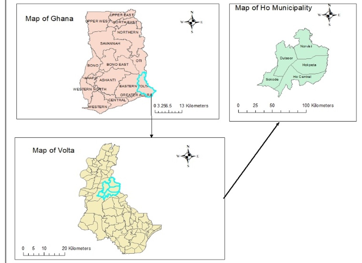 Figure 1: Map of surveillance data analysis area