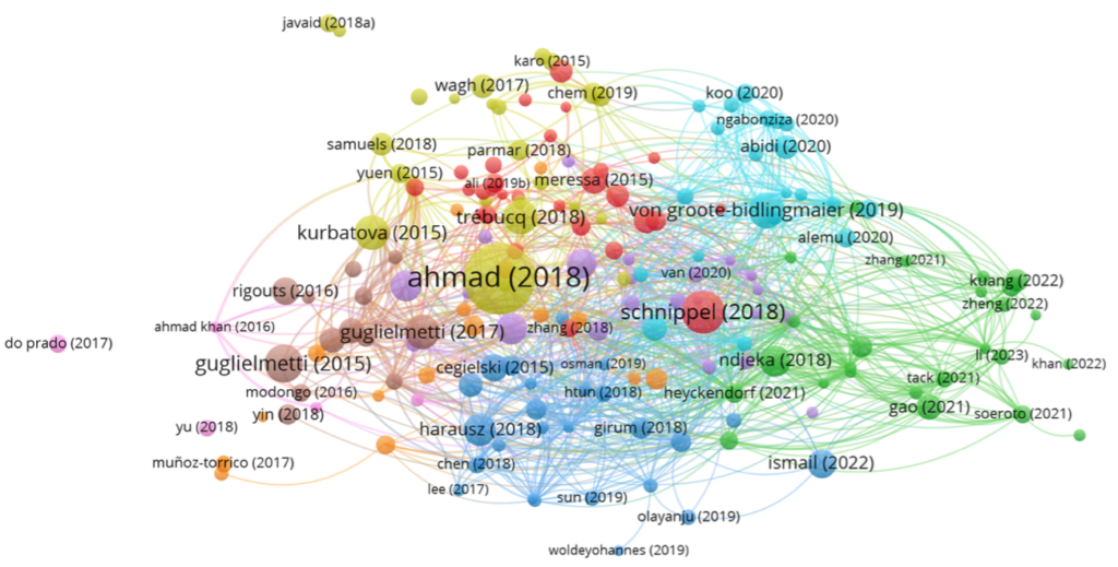 Figure 6. Bibliographic coupling network generated using VOSviewer (minimum citation threshold = 15 citations)