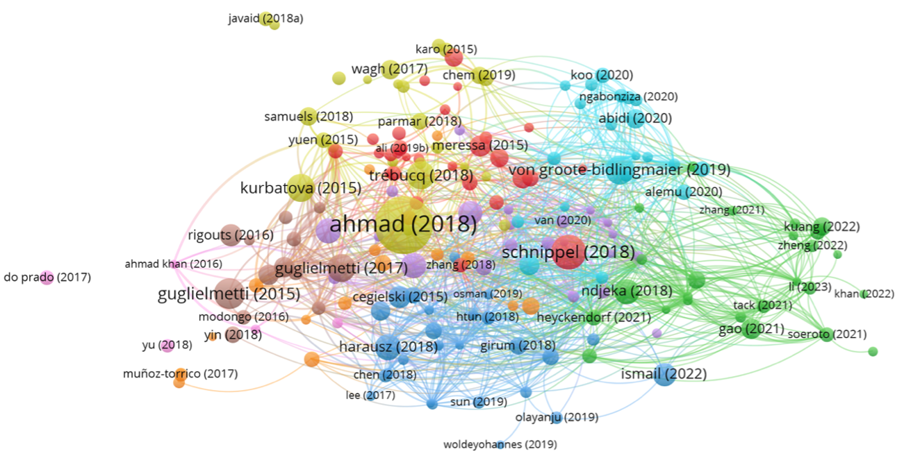Figure 6. Bibliographic coupling network generated using VOSviewer (minimum citation threshold = 15 citations)