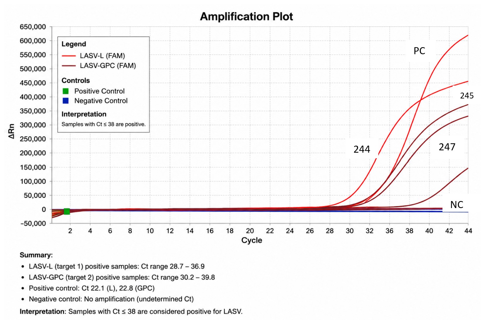 Figure 6: Amplification plots for LASV detected by RT-qPCR. Each curve represents the fluorescence signal generated during amplification of LASV RNA from clinical samples and the positive control (PC). Samples No. 244, 245, and 247 showed positive amplification curves, while the negative control (NC) showed no amplification, confirming assay specificity