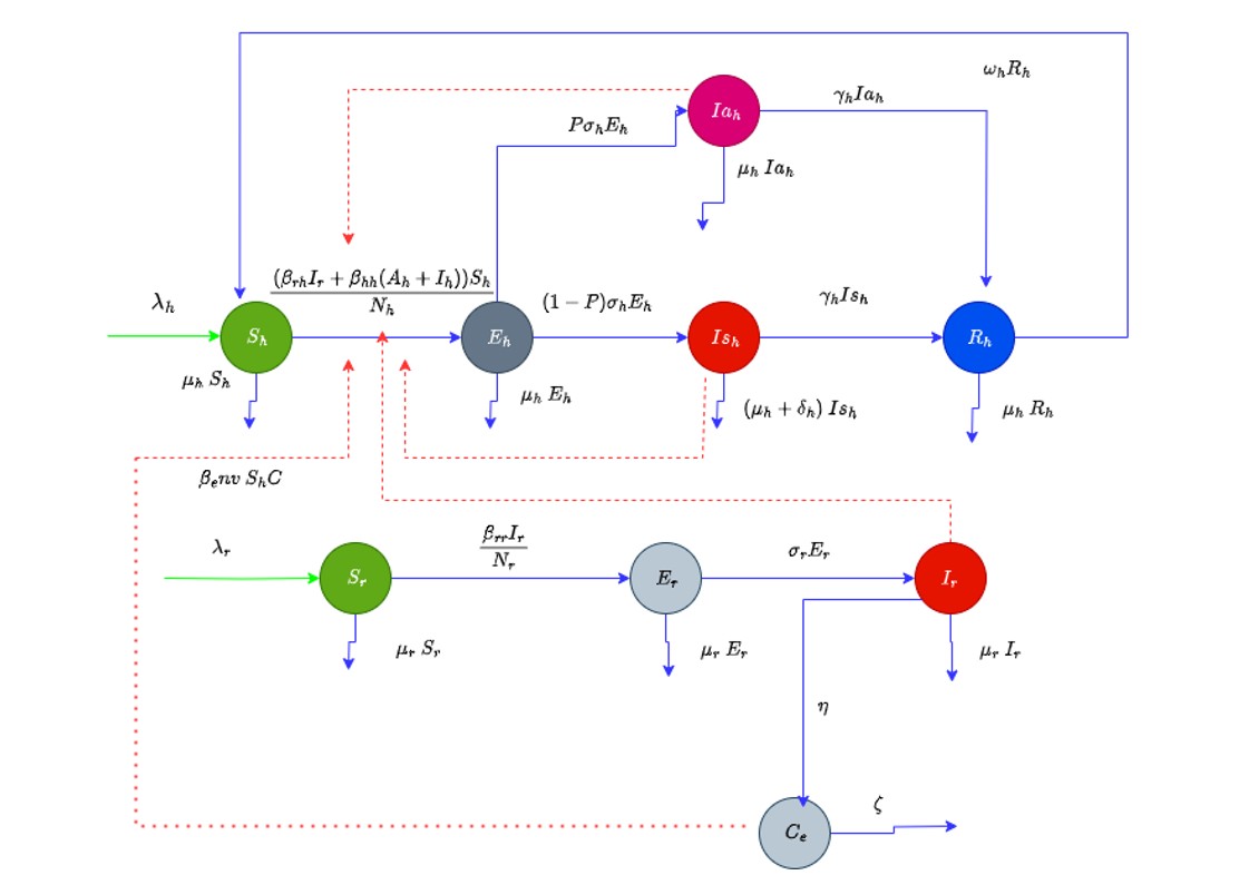 Figure 1: Schematic diagram of the Lassa fever transmission among rodents and humans and the environment. Blue solid arrows demonstrate infection progress, while red dashed arrows represent direction of human-to-human transmission and rodent-to-human transmission and environmental transmission. Blue dashed arrows show direction of transmission between humans and rodents. Green arrows show recruitment rate for humans and rodents