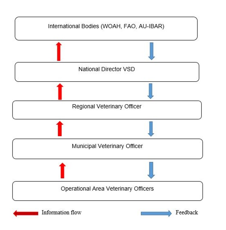 Figure 2: Flowchart of Contagious Pustular Dermatitis Surveillance System, 2024