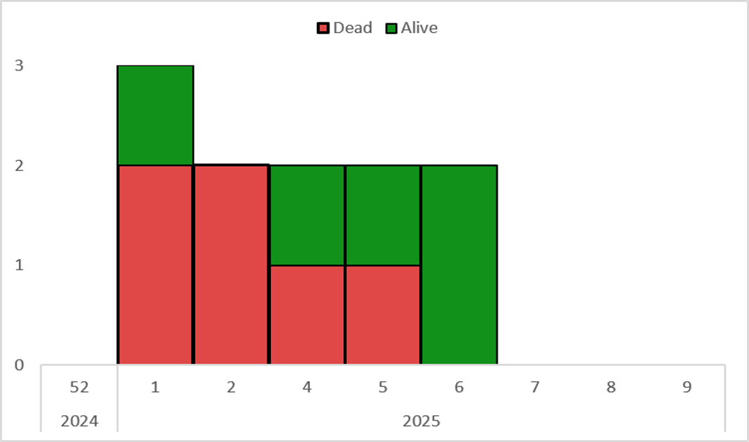 Figure 3: Epidemic curve of confirmed LF cases by epidemiological week in Gombe State, Nigeria from epi-week 1 – 7, 2025