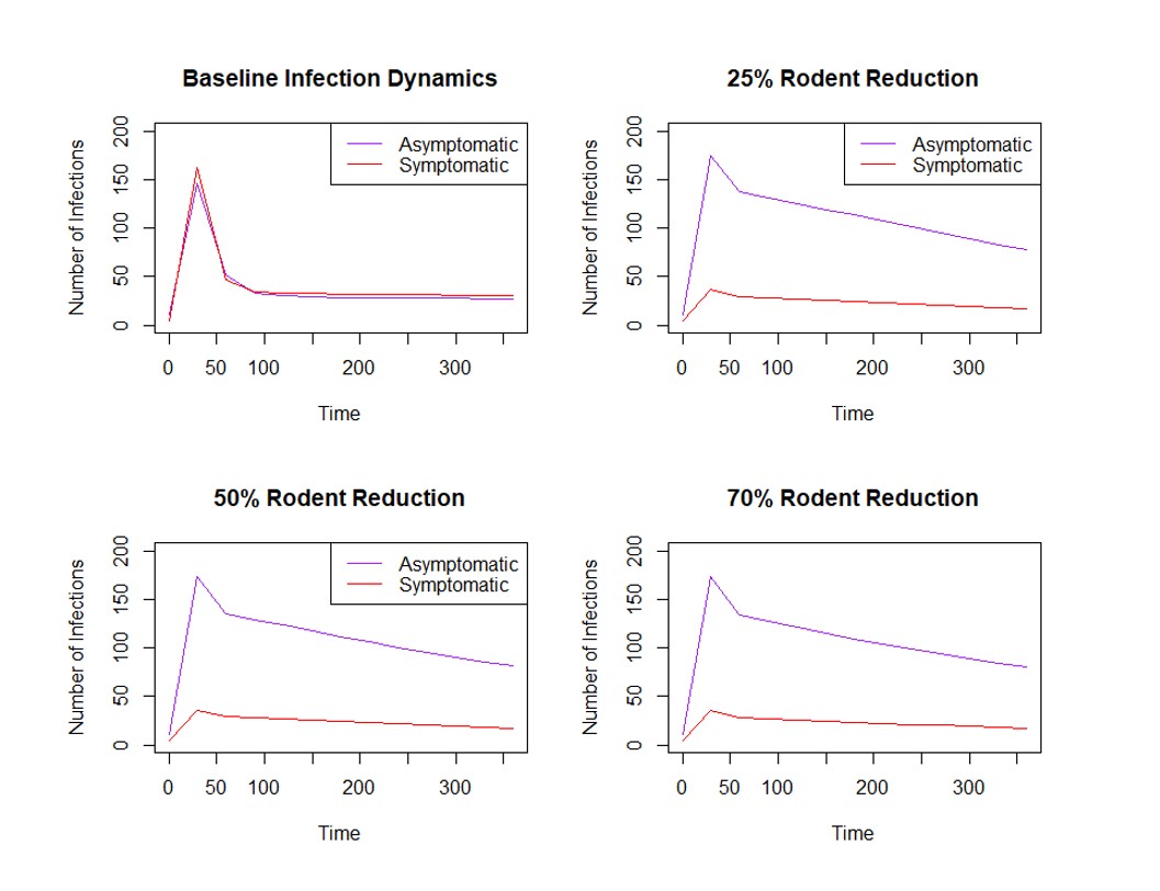 Figure 5: Projected effects of rodent population reduction (25%, 50%, and 70%) on Lassa fever infection rates. Simulations demonstrate a substantial decrease in infections with each reduction scenario.