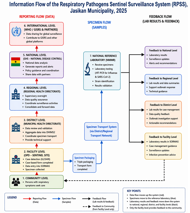 Figure 2: Flow of Surveillance Information