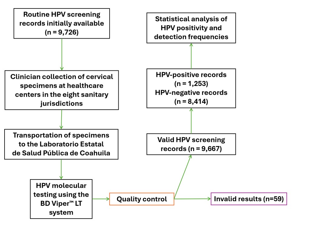 Figure 1: Flow diagram of cervical specimen collection, centralized HPV molecular testing, laboratory-result validation, and selection of screening records for analysis within the Coahuila State Cervical Cancer Screening Program