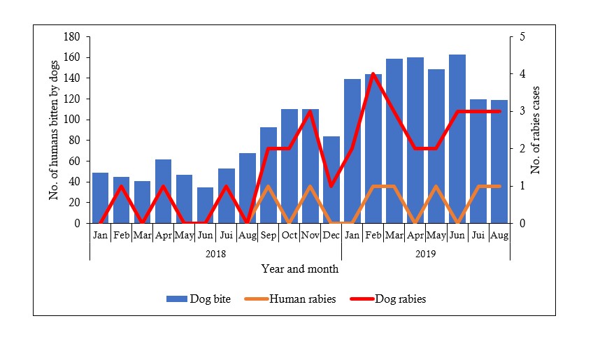Figure 1: Monthly distribution of humans bitten by dogs reported by health facilities, rabies cases in humans and animals, Guinea, January 2018 – August 2019