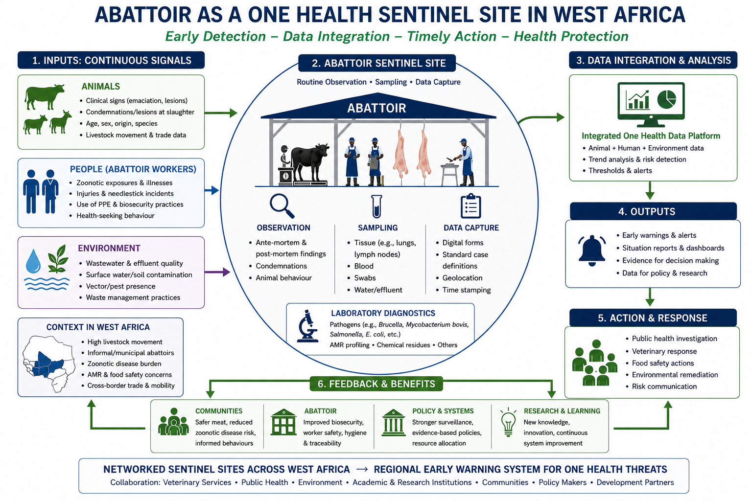 Figure 2: Abattoir as a One Health Sentinel Site in West Africa: From Continuous Surveillance Signals to Early Warning and Coordinated Action (Image created using Biorender)